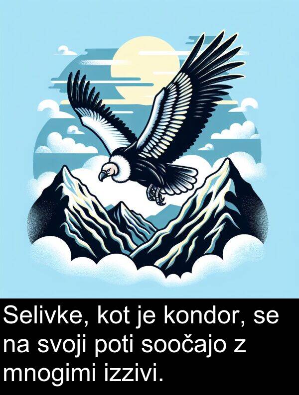 poti: Selivke, kot je kondor, se na svoji poti soočajo z mnogimi izzivi.