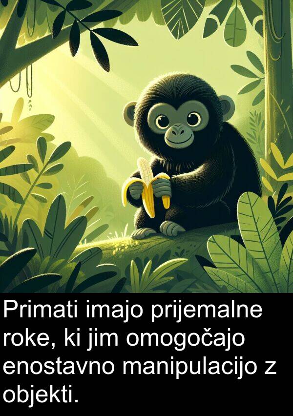 manipulacijo: Primati imajo prijemalne roke, ki jim omogočajo enostavno manipulacijo z objekti.