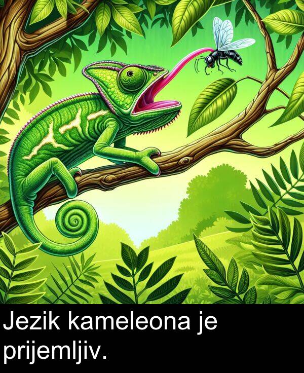 kameleona: Jezik kameleona je prijemljiv.