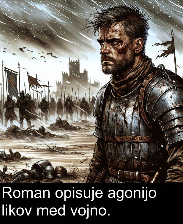 med: Roman opisuje agonijo likov med vojno.