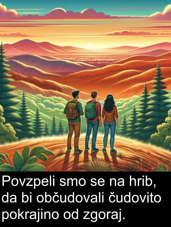 občudovali: Povzpeli smo se na hrib, da bi občudovali čudovito pokrajino od zgoraj.