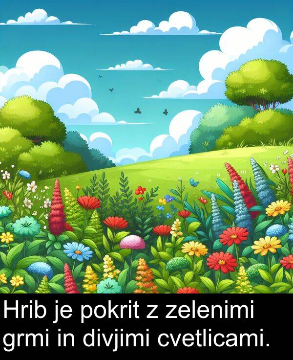 grmi: Hrib je pokrit z zelenimi grmi in divjimi cvetlicami.