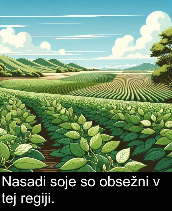regiji: Nasadi soje so obsežni v tej regiji.