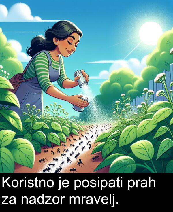 nadzor: Koristno je posipati prah za nadzor mravelj.