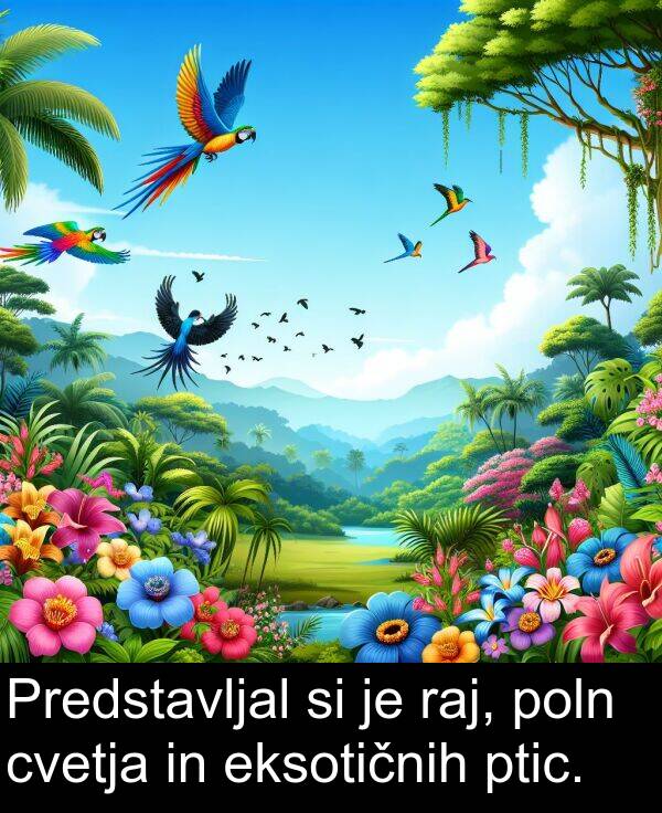 raj: Predstavljal si je raj, poln cvetja in eksotičnih ptic.