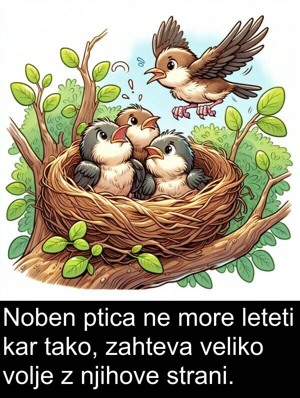 kar: Noben ptica ne more leteti kar tako, zahteva veliko volje z njihove strani.