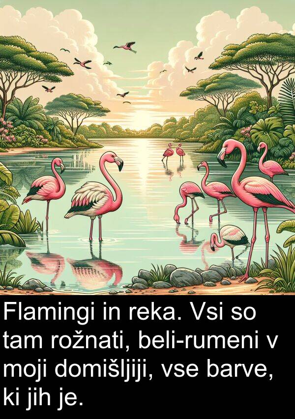 barve: Flamingi in reka. Vsi so tam rožnati, beli-rumeni v moji domišljiji, vse barve, ki jih je.