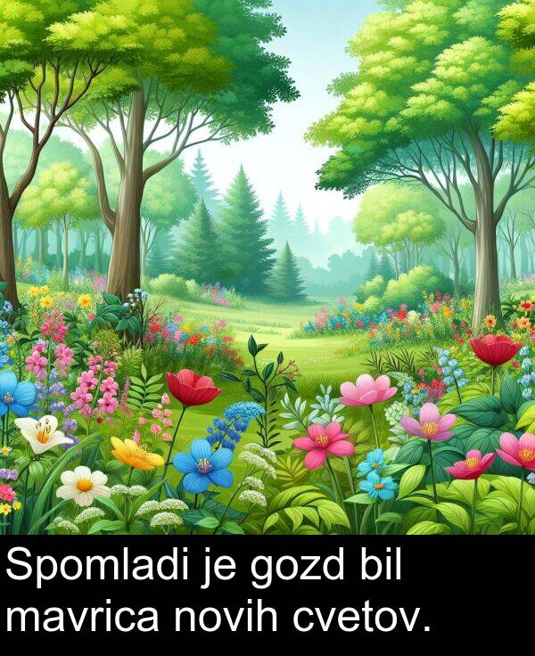 novih: Spomladi je gozd bil mavrica novih cvetov.