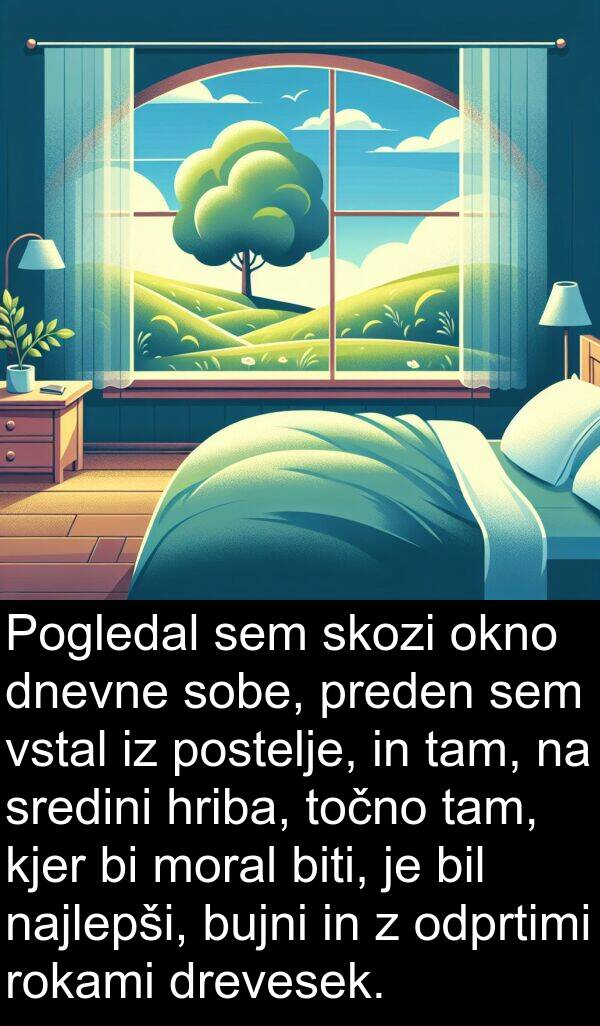 moral: Pogledal sem skozi okno dnevne sobe, preden sem vstal iz postelje, in tam, na sredini hriba, točno tam, kjer bi moral biti, je bil najlepši, bujni in z odprtimi rokami drevesek.
