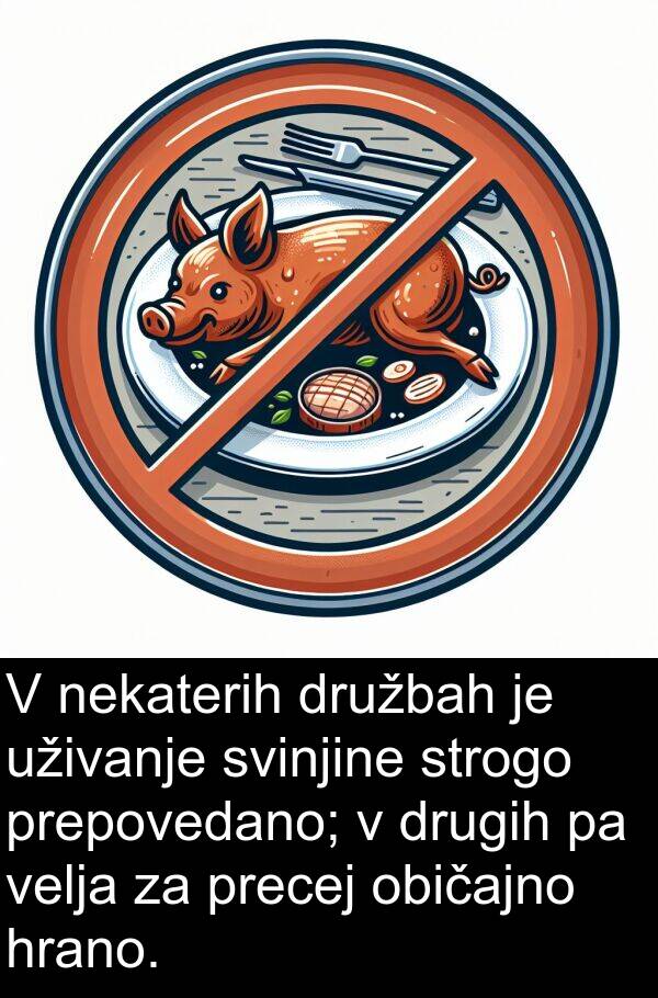 običajno: V nekaterih družbah je uživanje svinjine strogo prepovedano; v drugih pa velja za precej običajno hrano.