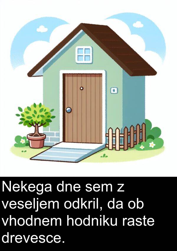 raste: Nekega dne sem z veseljem odkril, da ob vhodnem hodniku raste drevesce.