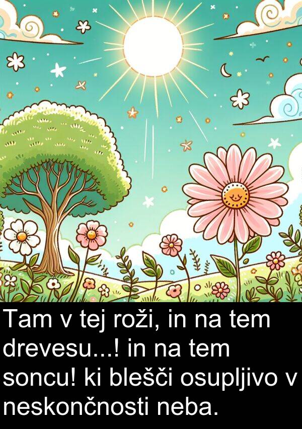 soncu: Tam v tej roži, in na tem drevesu...! in na tem soncu! ki blešči osupljivo v neskončnosti neba.