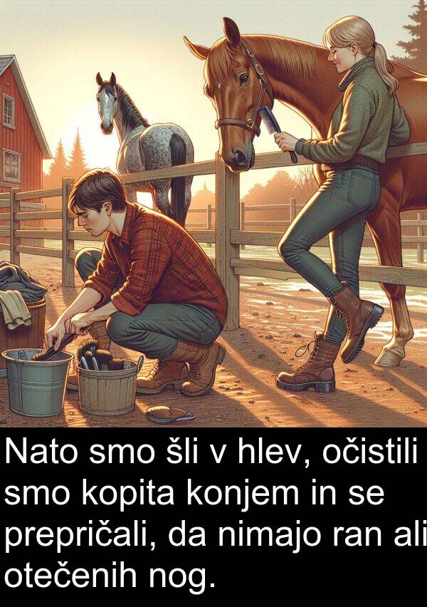 hlev: Nato smo šli v hlev, očistili smo kopita konjem in se prepričali, da nimajo ran ali otečenih nog.