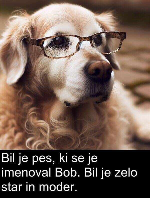 moder: Bil je pes, ki se je imenoval Bob. Bil je zelo star in moder.