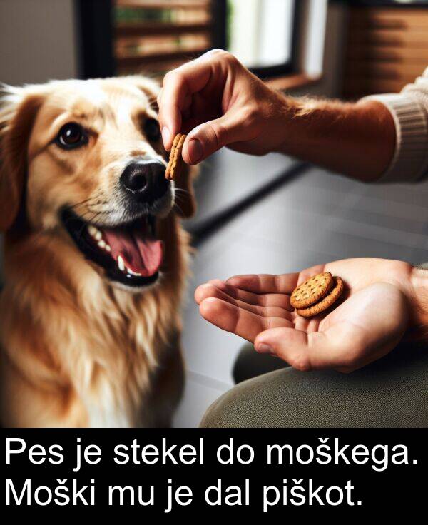 moškega: Pes je stekel do moškega. Moški mu je dal piškot.