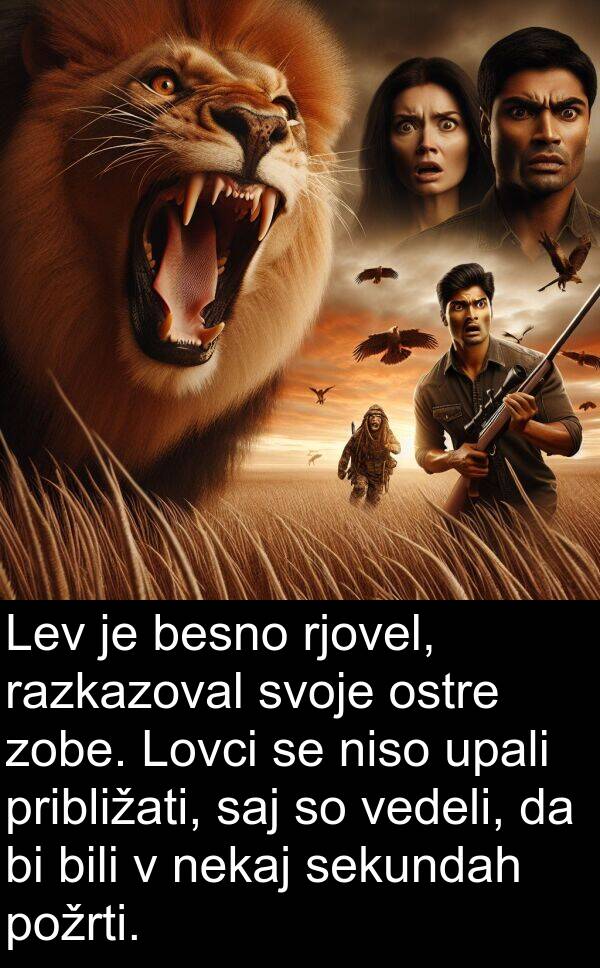 sekundah: Lev je besno rjovel, razkazoval svoje ostre zobe. Lovci se niso upali približati, saj so vedeli, da bi bili v nekaj sekundah požrti.