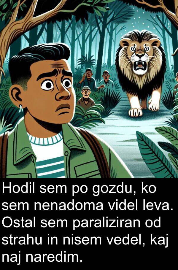 kaj: Hodil sem po gozdu, ko sem nenadoma videl leva. Ostal sem paraliziran od strahu in nisem vedel, kaj naj naredim.
