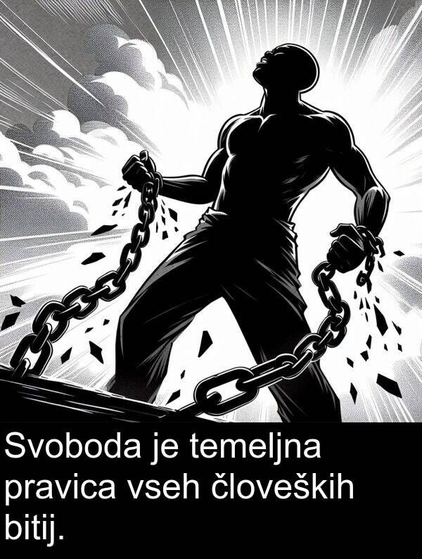 bitij: Svoboda je temeljna pravica vseh človeških bitij.