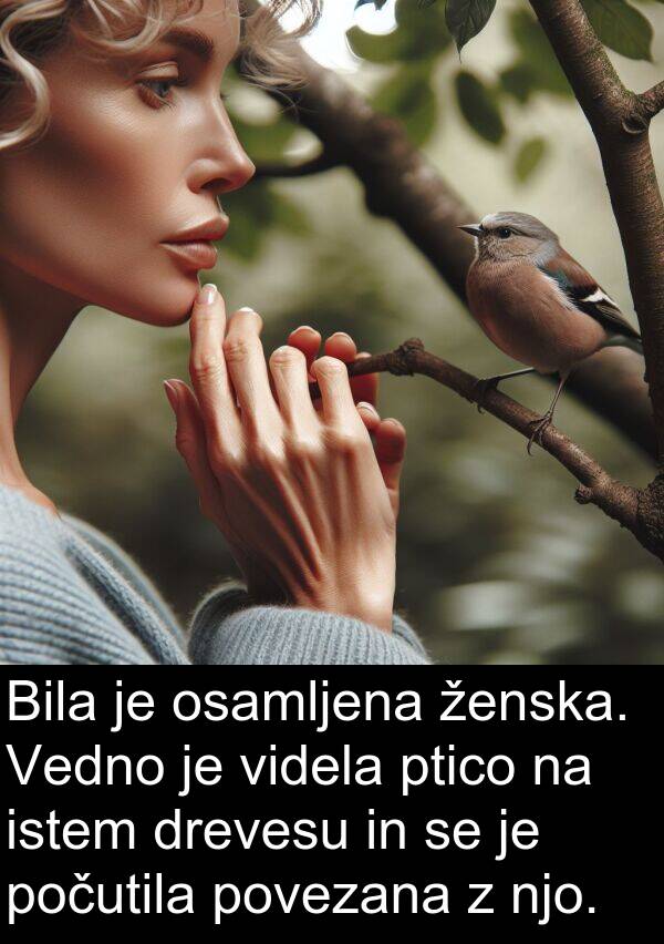ženska: Bila je osamljena ženska. Vedno je videla ptico na istem drevesu in se je počutila povezana z njo.
