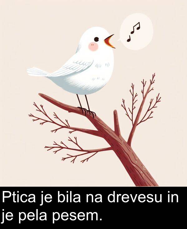 bila: Ptica je bila na drevesu in je pela pesem.