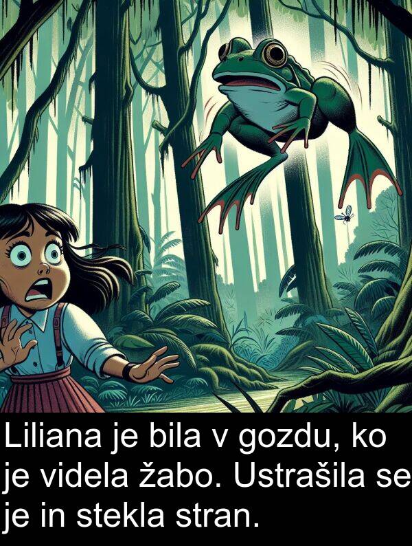 žabo: Liliana je bila v gozdu, ko je videla žabo. Ustrašila se je in stekla stran.