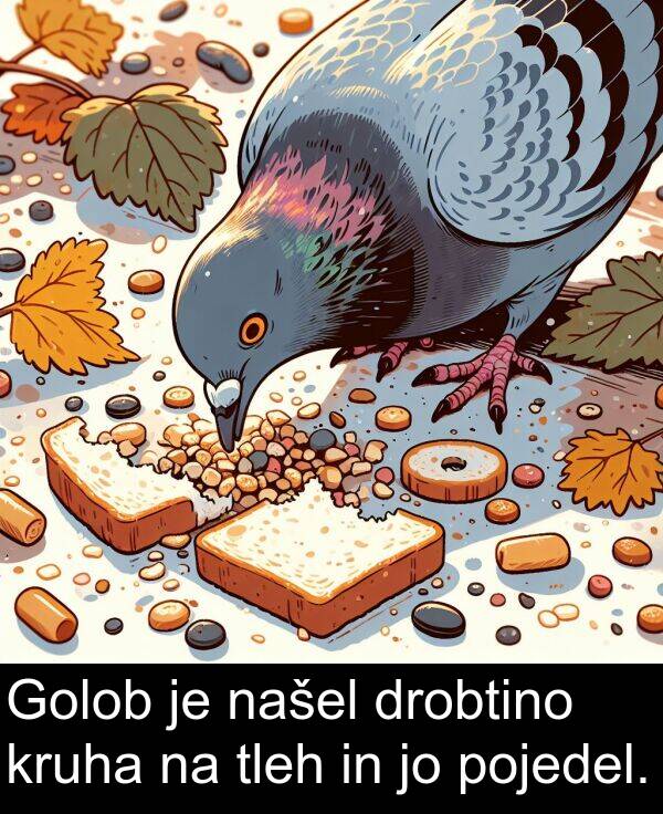 pojedel: Golob je našel drobtino kruha na tleh in jo pojedel.