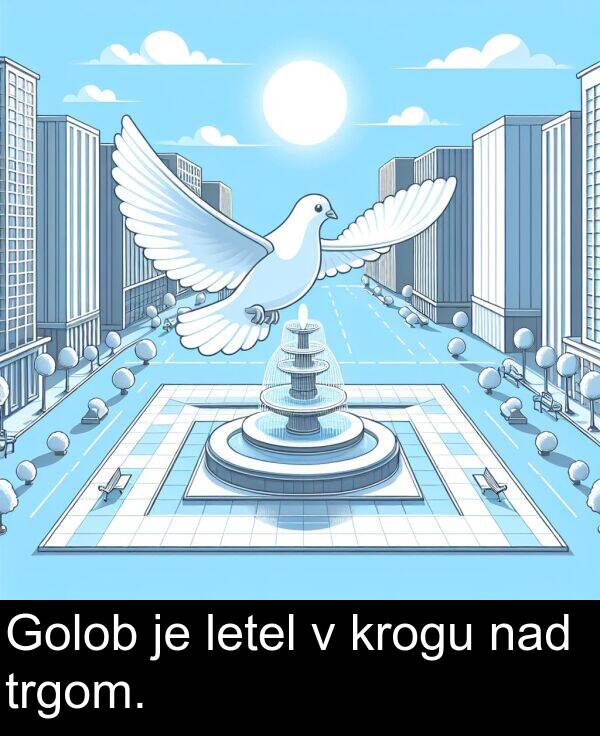 nad: Golob je letel v krogu nad trgom.