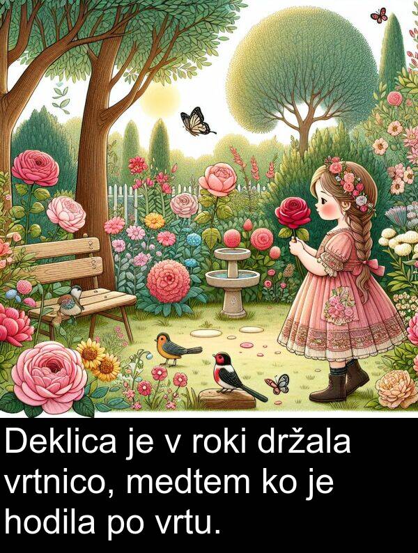 roki: Deklica je v roki držala vrtnico, medtem ko je hodila po vrtu.