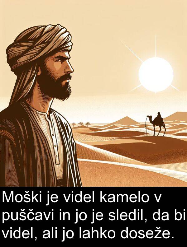 kamelo: Moški je videl kamelo v puščavi in jo je sledil, da bi videl, ali jo lahko doseže.