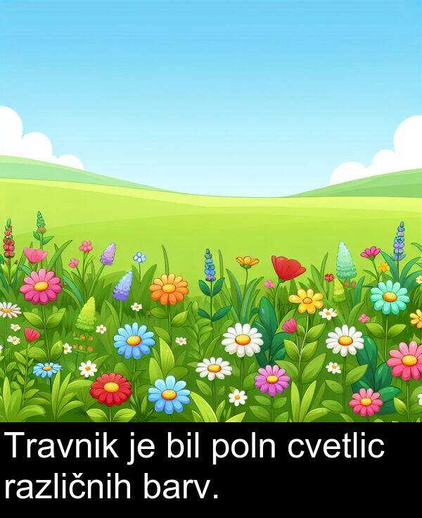 barv: Travnik je bil poln cvetlic različnih barv.