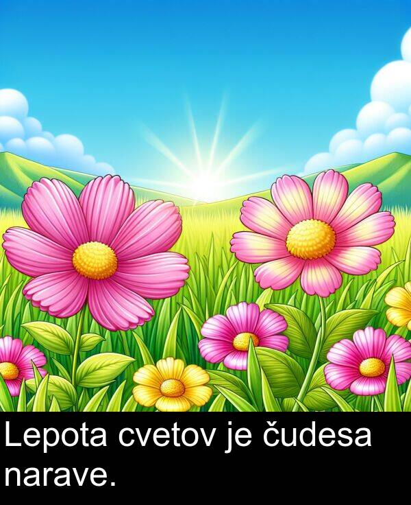 narave: Lepota cvetov je čudesa narave.