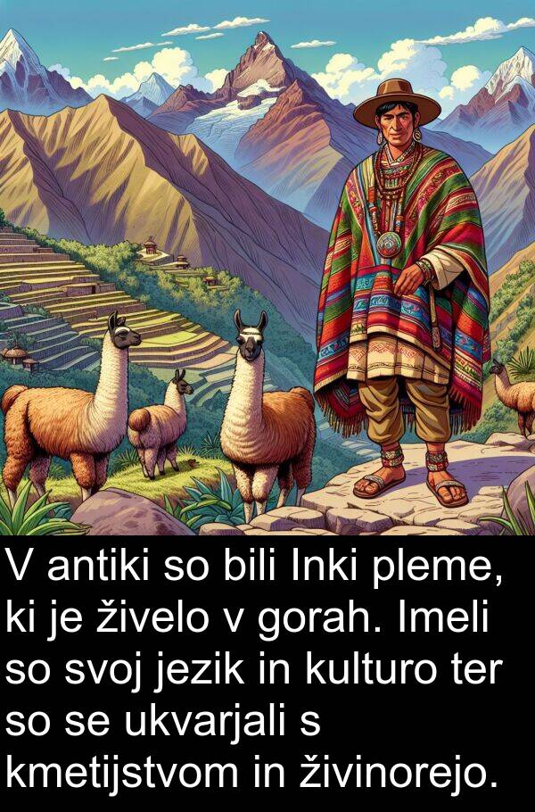 živelo: V antiki so bili Inki pleme, ki je živelo v gorah. Imeli so svoj jezik in kulturo ter so se ukvarjali s kmetijstvom in živinorejo.