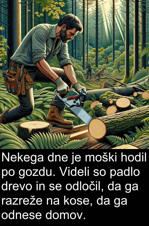 padlo: Nekega dne je moški hodil po gozdu. Videli so padlo drevo in se odločil, da ga razreže na kose, da ga odnese domov.