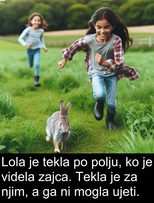 tekla: Lola je tekla po polju, ko je videla zajca. Tekla je za njim, a ga ni mogla ujeti.