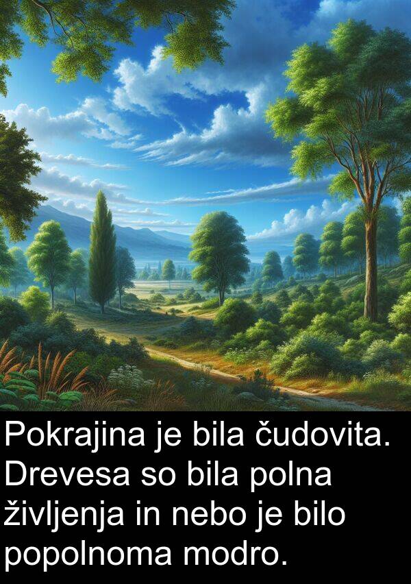 modro: Pokrajina je bila čudovita. Drevesa so bila polna življenja in nebo je bilo popolnoma modro.