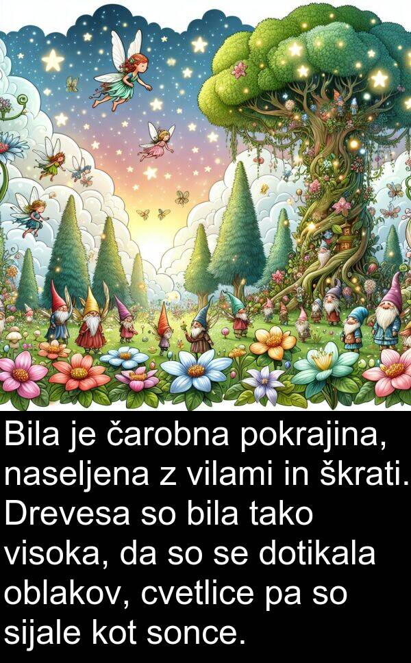 sonce: Bila je čarobna pokrajina, naseljena z vilami in škrati. Drevesa so bila tako visoka, da so se dotikala oblakov, cvetlice pa so sijale kot sonce.