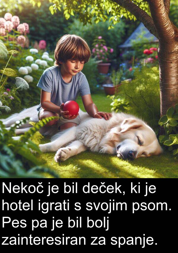 bolj: Nekoč je bil deček, ki je hotel igrati s svojim psom. Pes pa je bil bolj zainteresiran za spanje.