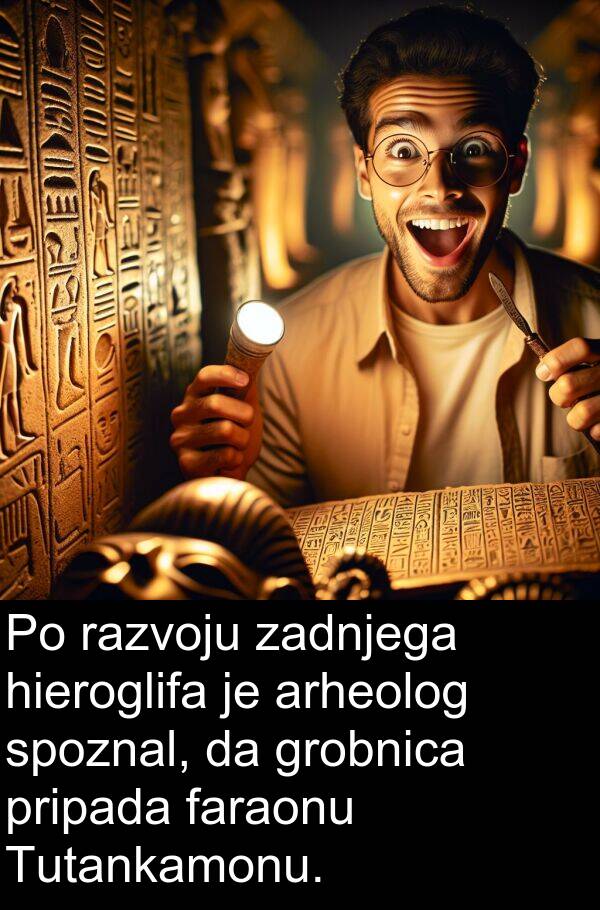 hieroglifa: Po razvoju zadnjega hieroglifa je arheolog spoznal, da grobnica pripada faraonu Tutankamonu.
