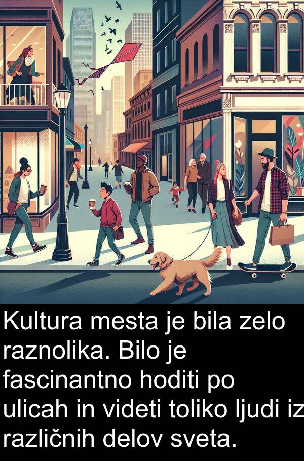 raznolika: Kultura mesta je bila zelo raznolika. Bilo je fascinantno hoditi po ulicah in videti toliko ljudi iz različnih delov sveta.