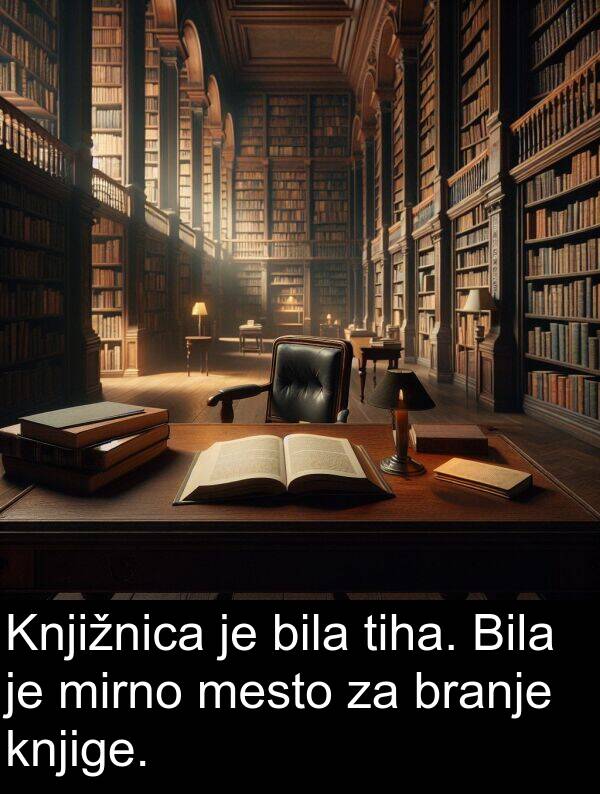 knjige: Knjižnica je bila tiha. Bila je mirno mesto za branje knjige.