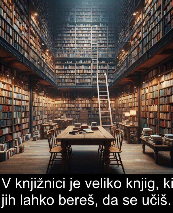 bereš: V knjižnici je veliko knjig, ki jih lahko bereš, da se učiš.