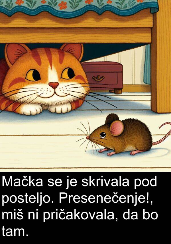 posteljo: Mačka se je skrivala pod posteljo. Presenečenje!, miš ni pričakovala, da bo tam.
