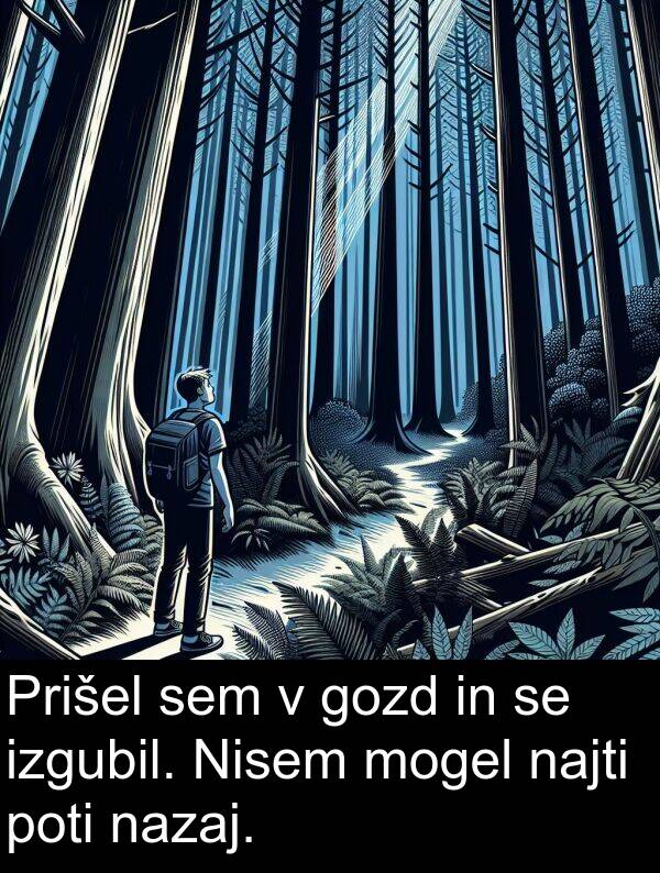 poti: Prišel sem v gozd in se izgubil. Nisem mogel najti poti nazaj.