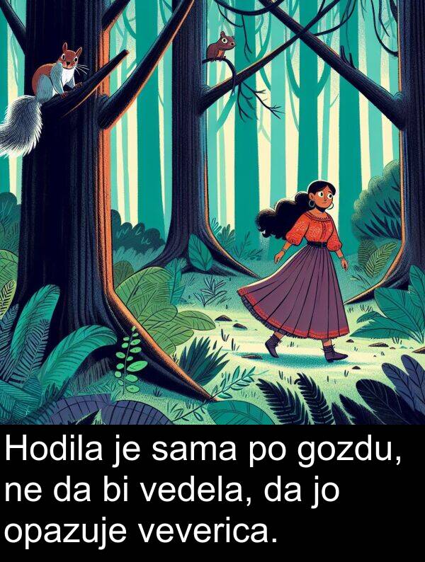 sama: Hodila je sama po gozdu, ne da bi vedela, da jo opazuje veverica.