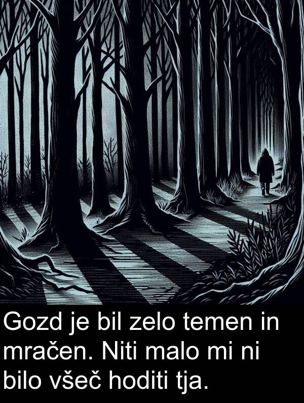malo: Gozd je bil zelo temen in mračen. Niti malo mi ni bilo všeč hoditi tja.