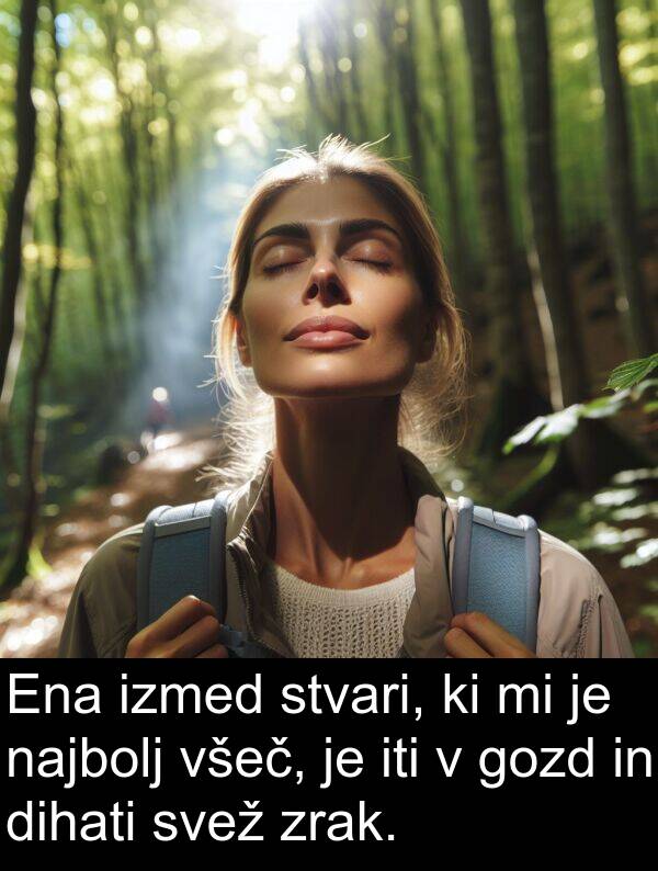 stvari: Ena izmed stvari, ki mi je najbolj všeč, je iti v gozd in dihati svež zrak.