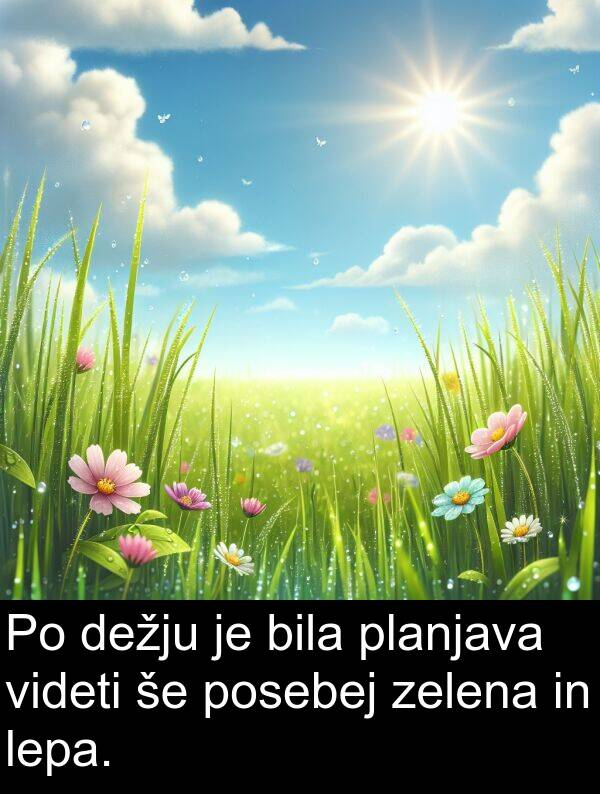 planjava: Po dežju je bila planjava videti še posebej zelena in lepa.
