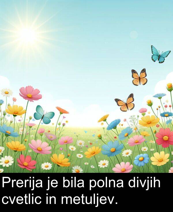 polna: Prerija je bila polna divjih cvetlic in metuljev.