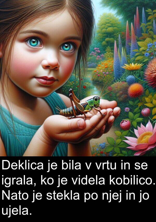 stekla: Deklica je bila v vrtu in se igrala, ko je videla kobilico. Nato je stekla po njej in jo ujela.