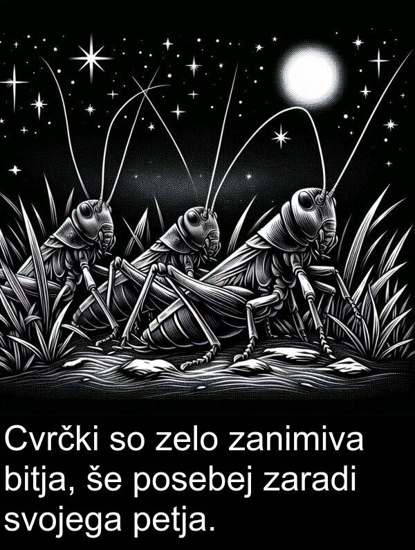 bitja: Cvrčki so zelo zanimiva bitja, še posebej zaradi svojega petja.